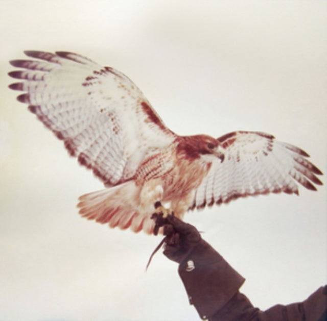 AIRIS, JM | WILD BIRDS | VINYL RECORD (LP)