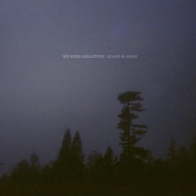 WE WERE SKELETONS | BLAME AND AGING | VINYL RECORD (LP)