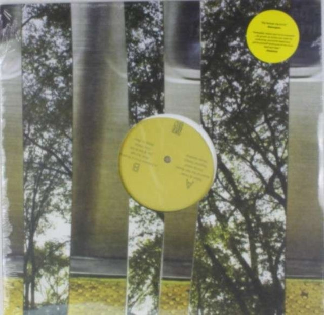 YOU BLEW IT | KEEP DOING WHAT YOU'RE DOING | VINYL RECORD (LP)