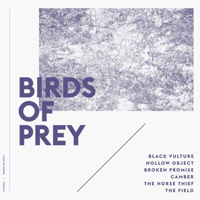 BIRDS OF PREY | BIRDS OF PREY | VINYL RECORD (LP)