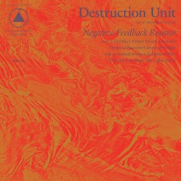 DESTRUCTION UNIT | NEGATIVE FEEDBACK RESISTOR | VINYL RECORD (LP)