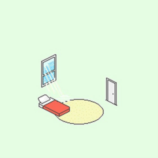 FLORIST | BIRDS OUTSIDE SANG | VINYL RECORD (LP)