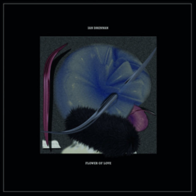 DRENNAN, IAN | FLOWER OF LOVE | VINYL RECORD (LP)