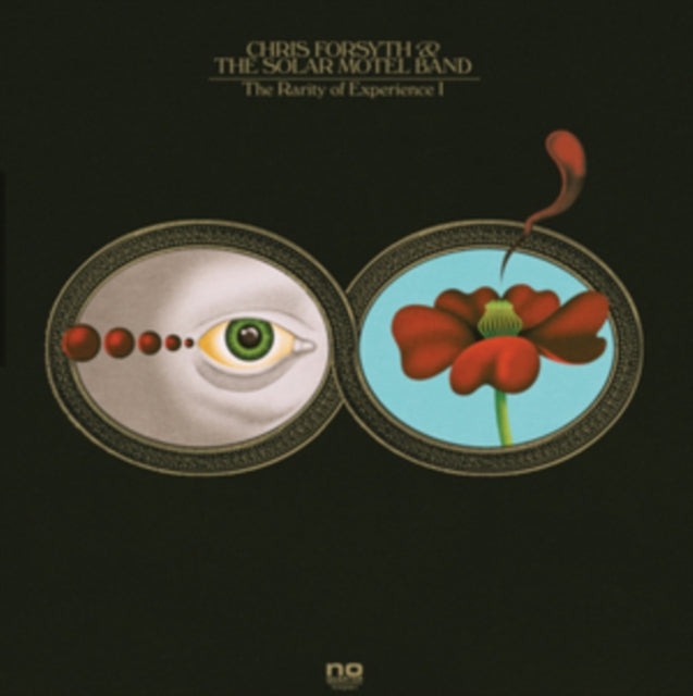 FORSYTH, CHRIS & THE SOLAR MOTEL BAND | RARITY OF EXPERIENCE | VINYL RECORD (LP)