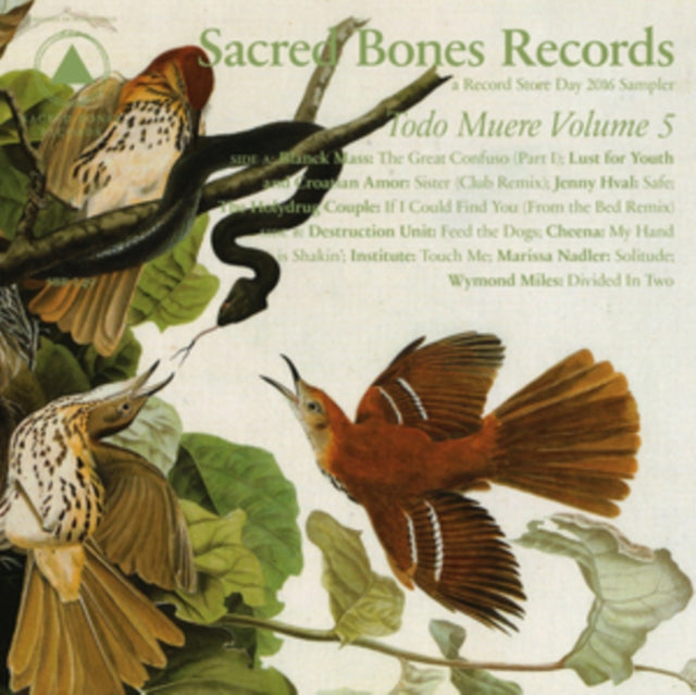 VARIOUS ARTISTS | TODO MUERE VOL. 5 | VINYL RECORD (LP)