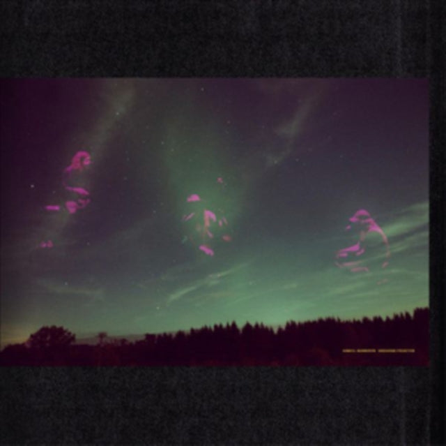 NORGREN, DANIEL | SKOGENS FRUKTER | VINYL RECORD (LP)
