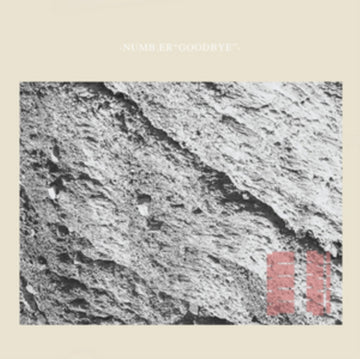 NUMB.ER | GOODBYE | VINYL RECORD (LP)