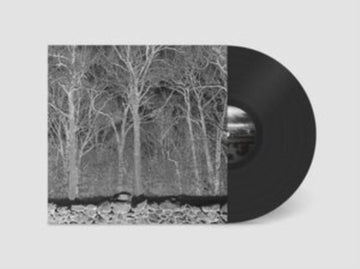SUNSHINE & BALANCE BEAMS | VINYL RECORD (LP)