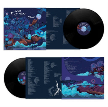 COLOR OF RAIN (2LP) | VINYL RECORD (LP)
