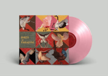 BIRDS OF PARADISE (ROSEATE SPOONBILL PINK VINYL) | VINYL RECORD (LP)