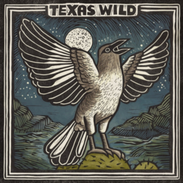 VARIOUS ARTISTS | TEXAS WILD | VINYL RECORD (LP)