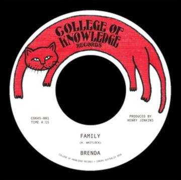 WHERE DID I GO WRONG? / FAMILY | 7IN VINYL