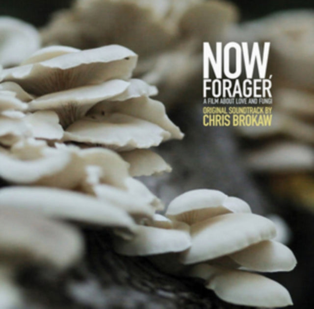 BROKAW, CHRIS | NOW FORAGER | VINYL RECORD (LP)