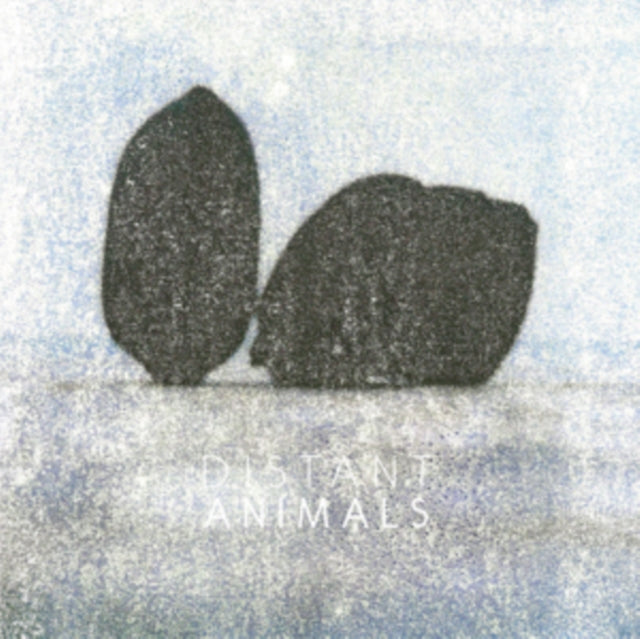 DISTANT ANIMALS | LINES | VINYL RECORD (LP)