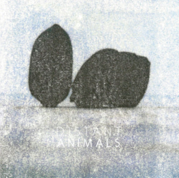 DISTANT ANIMALS | LINES | VINYL RECORD (LP)