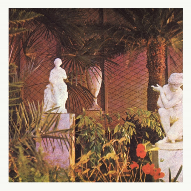 AHTI, MARJA | VEGETAL NEGATIVES | VINYL RECORD (LP)