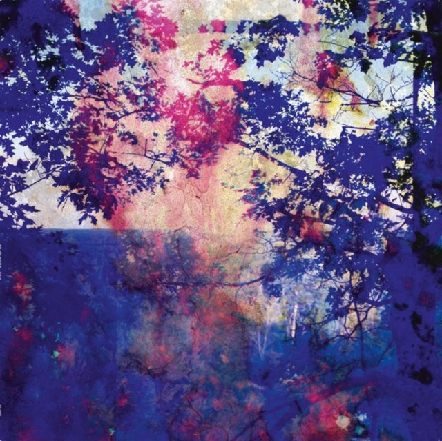 BUCHER, ROLAND | VIAJE | VINYL RECORD (LP)