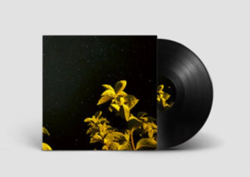 CHANGING BODIES | VINYL RECORD (LP)