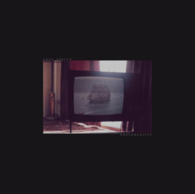 SOOT SPRITE | POLTERGEISTS | 12IN VINYL