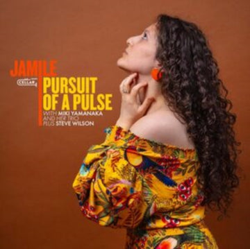 PURSUIT OF A PULSE | VINYL RECORD (LP)