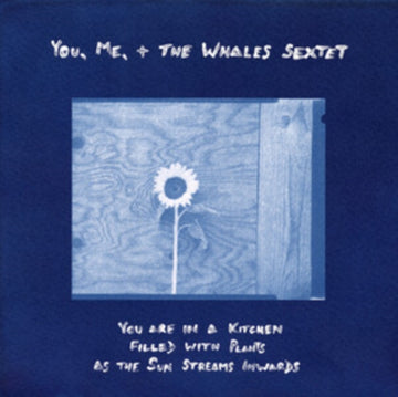 YOU ARE IN A KITCHEN FILLED WITH PLANTS AS THE SUN STREAMS INWARDS | VINYL RECORD (LP)