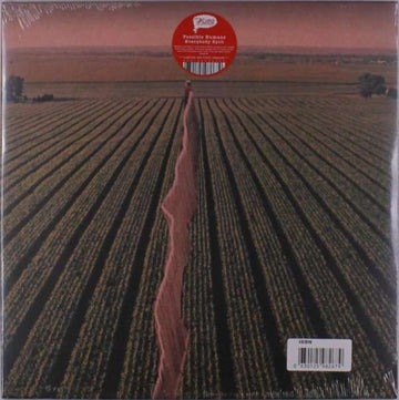 EVERYBODY SPLIT (RED VINYL) | VINYL RECORD (LP)