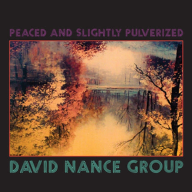 NANCE, DAVID GROUP | PEACED AND SLIGHTLY PULVERIZED | VINYL RECORD (LP)