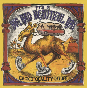 CHOICE QUALITY STUFF/ANYTIME (PURPLE VINYL) | VINYL RECORD (LP)