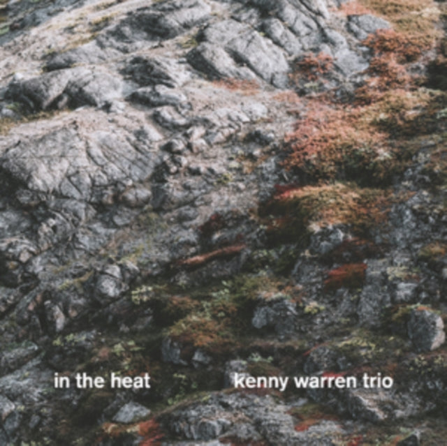 WARREN, KENNY TRIO | IN THE HEAT | VINYL RECORD (LP)