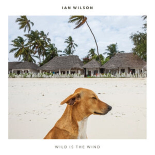 UNKNOWN | WILD IS THE WIND | CD