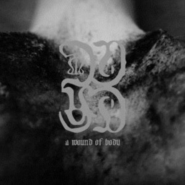 COMMON EIDER,  KING EIDER | WOUND OF BODY | VINYL RECORD (LP)