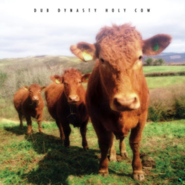DUB DYNASTY | HOLY COW (2LP) | VINYL RECORD (LP)