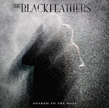 SOAKED TO THE BONE | VINYL RECORD (LP)