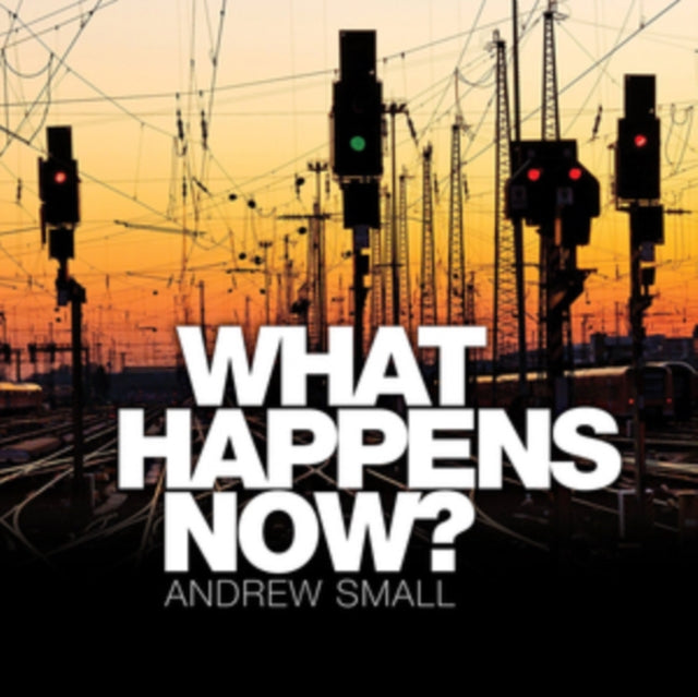 SMALL, ANDREW | WHAT HAPPENS NOW? | CD