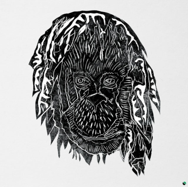 ALPHA STEPPA | RAISE THE ARK | VINYL RECORD (LP)