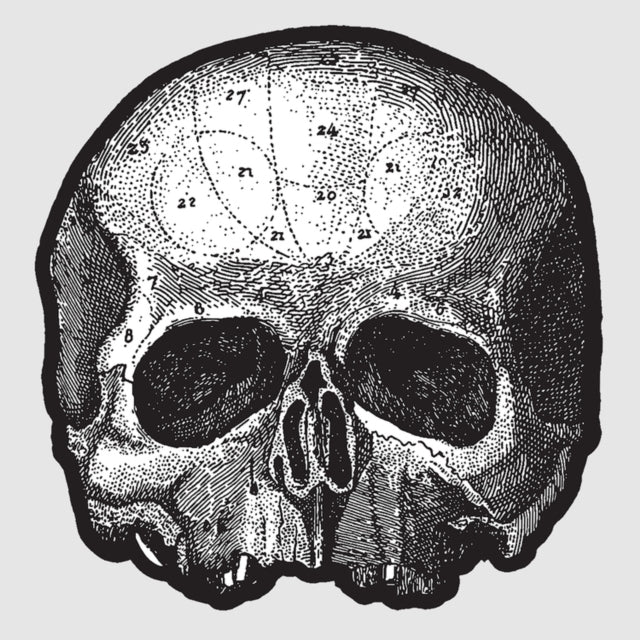 BLACK LABEL SOCIETY | BLACK PEARL 10 (DIE CUT SKULL PICTURE DISC) | VINYL RECORD (LP)