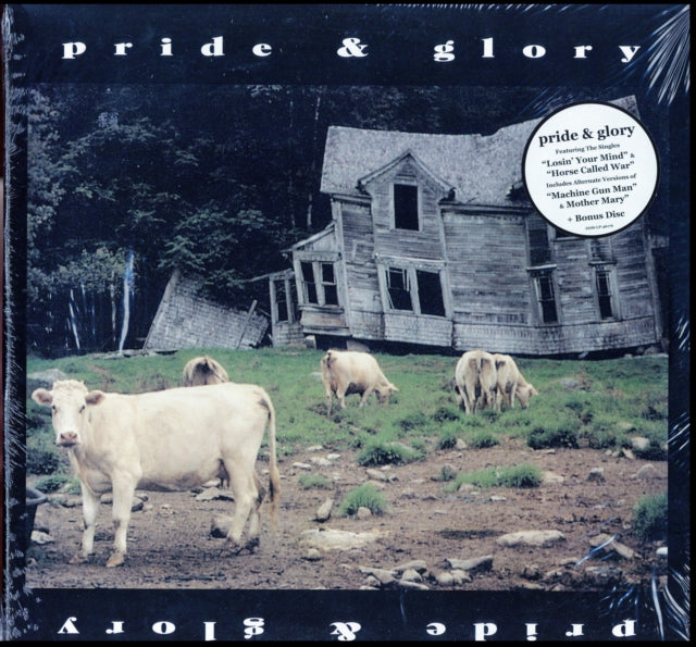 PRIDE & GLORY | PRIDE & GLORY (PICTURE DISC) | VINYL RECORD (LP)