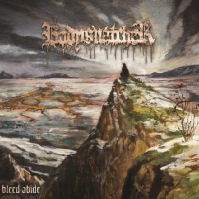 BODYSNATCHER | BLEED/ABIDE | VINYL RECORD (LP)