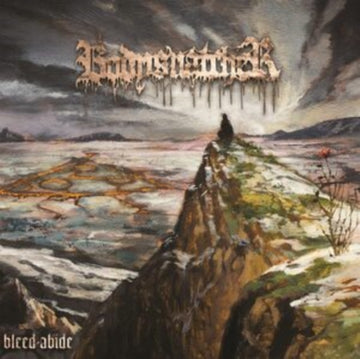 BODYSNATCHER | BLEED/ABIDE | VINYL RECORD (LP)