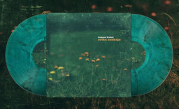 ERIKA SZOBAJA (2LP) (SUNBURST COLORED VINYL) | VINYL RECORD (LP)