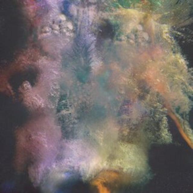 HUMFREE BUG ART | HAWAII / MIRRORS | 7IN VINYL