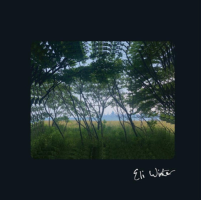 WINTER, ELI | ELI WINTER | VINYL RECORD (LP)