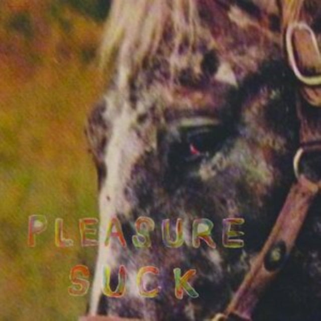 SPIRIT OF THE BEEHIVE | PLEASURE SUCK (TRANSPARENT ORANGE VINYL) | VINYL RECORD (LP)