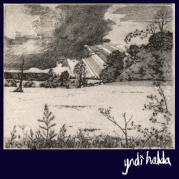 YNDI HALDA | ENJOY ETERNAL BLISS | VINYL RECORD (LP)