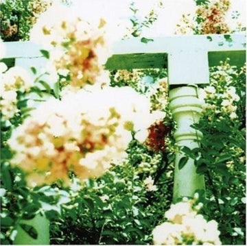 UNWED SAILOR | LITTLE WARS | VINYL RECORD (LP)
