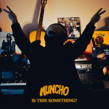 IS THIS SOMETHING? | VINYL RECORD (LP)