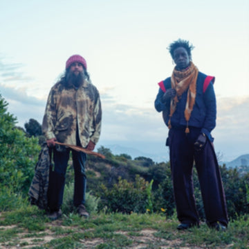 SAUL WILLIAMS MEETS CARLOS NINO & FRIENDS AT TREEPEOPLE (2LP) | VINYL RECORD (LP)