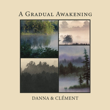 GRADUAL AWAKENING | VINYL RECORD (LP)