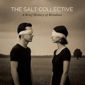 BRIEF HISTORY OF BLI… | VINYL RECORD (LP)