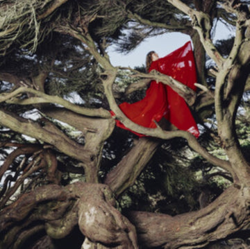 NESTED IN TANGLES (RUBY RED VINYL) | VINYL RECORD (LP)